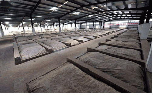 100% 原廠授權(quán)經(jīng)商配貨